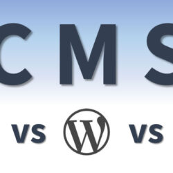 WordPress, Joomla, or SPIP? Find Out Which CMS Fits Your Business Website Best